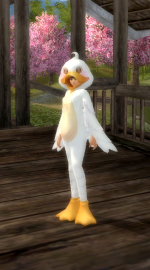 Duck F.png